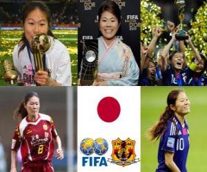 yapboz FIFA Bayanlar Dünya oyuncusu yıl 2011 kazanan Homare Sawa